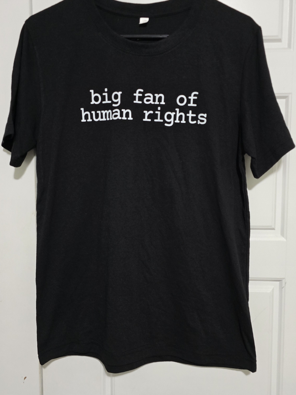 Big Fan of Human Rights Black Graphic Tee